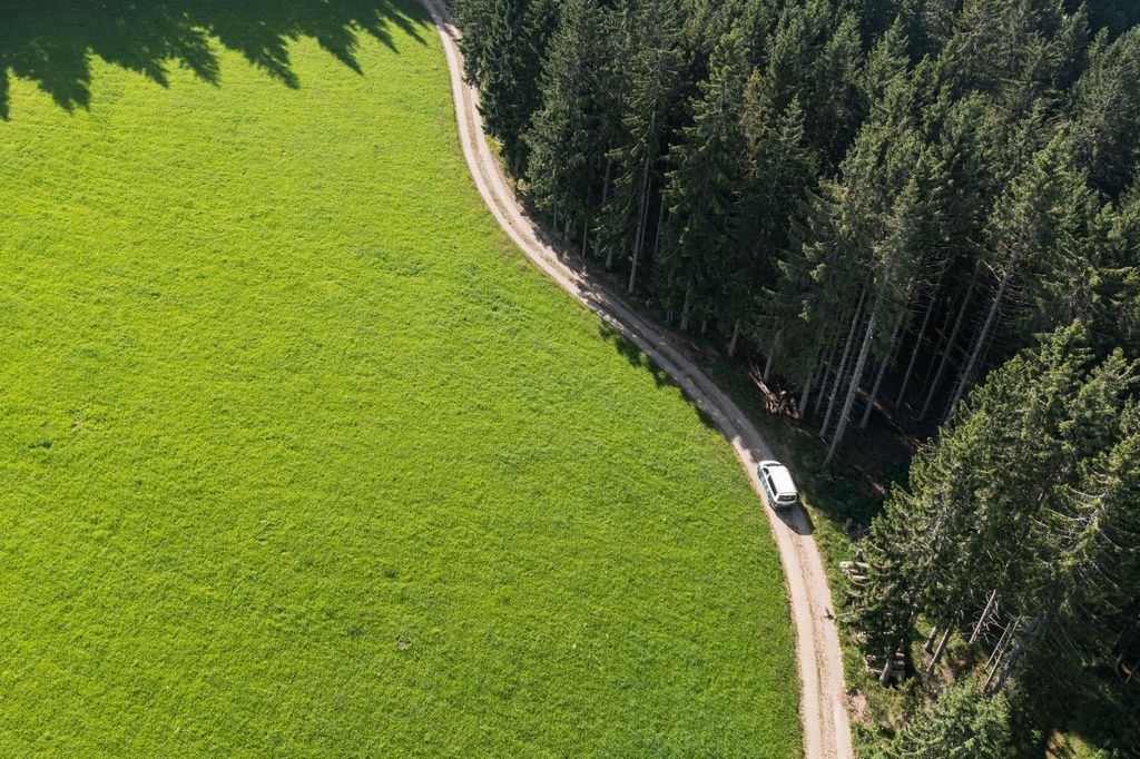 Ai margini della foresta nella Foresta Nera con vista