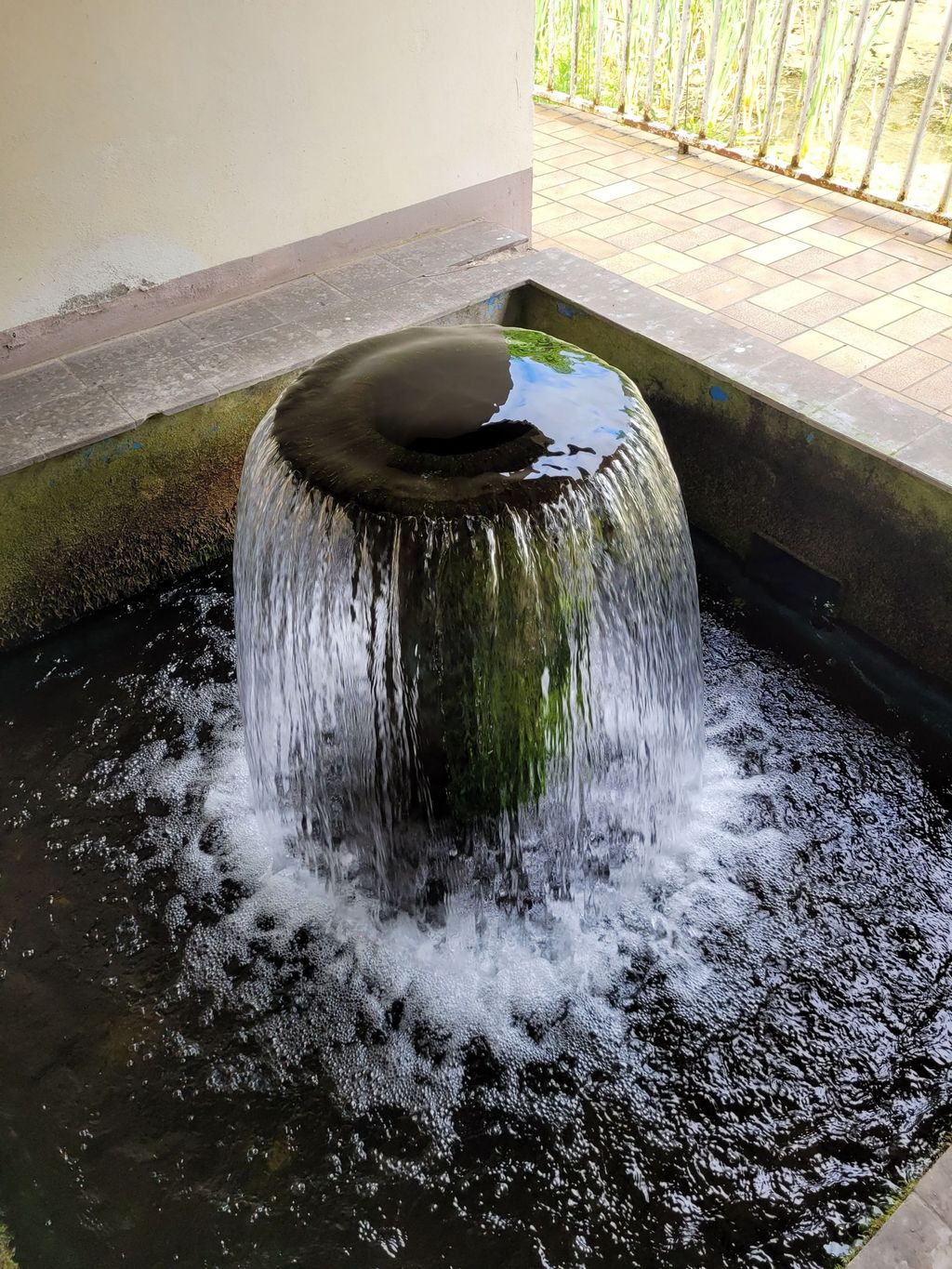 Wiese am Quellteich zwischen Werl und Unna