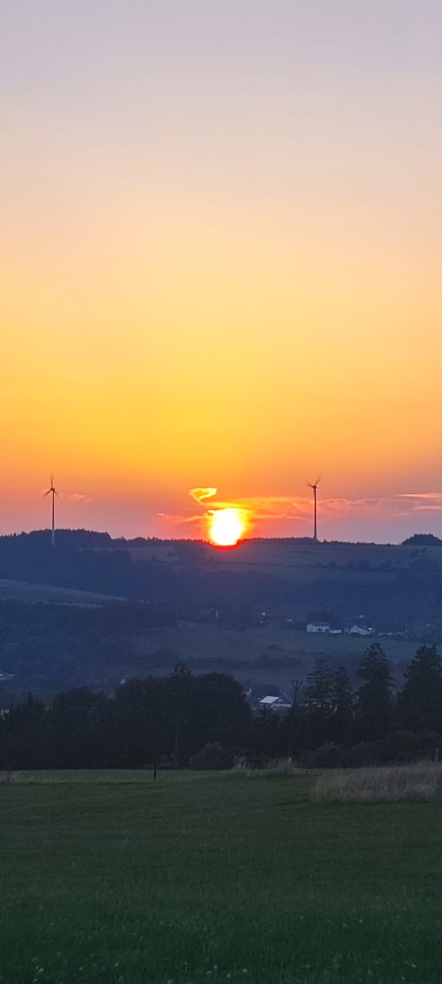 Urlaub bei Freunden auf dem Pferdehof 