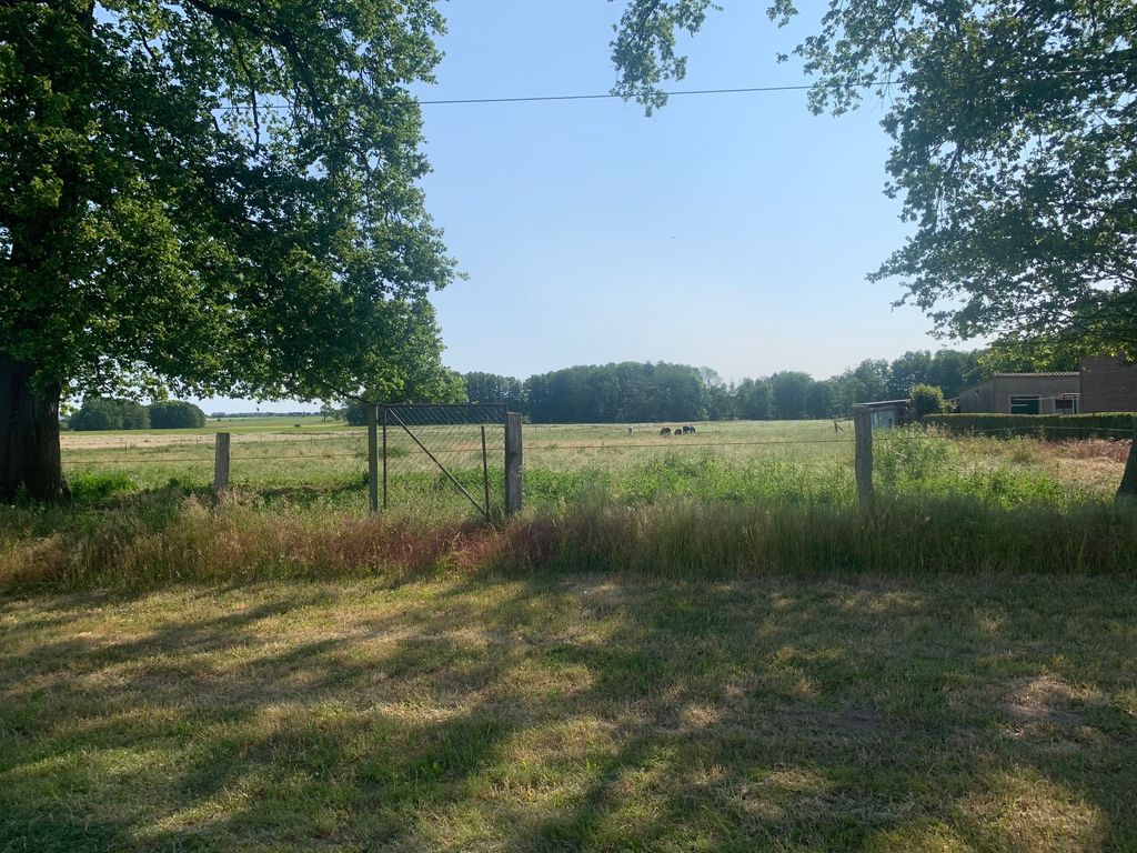 At the horse stable in the green heart of Prignitz