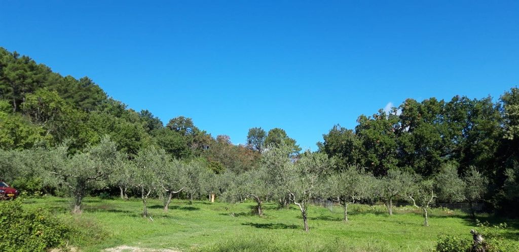 Agricamping Borgo Agna