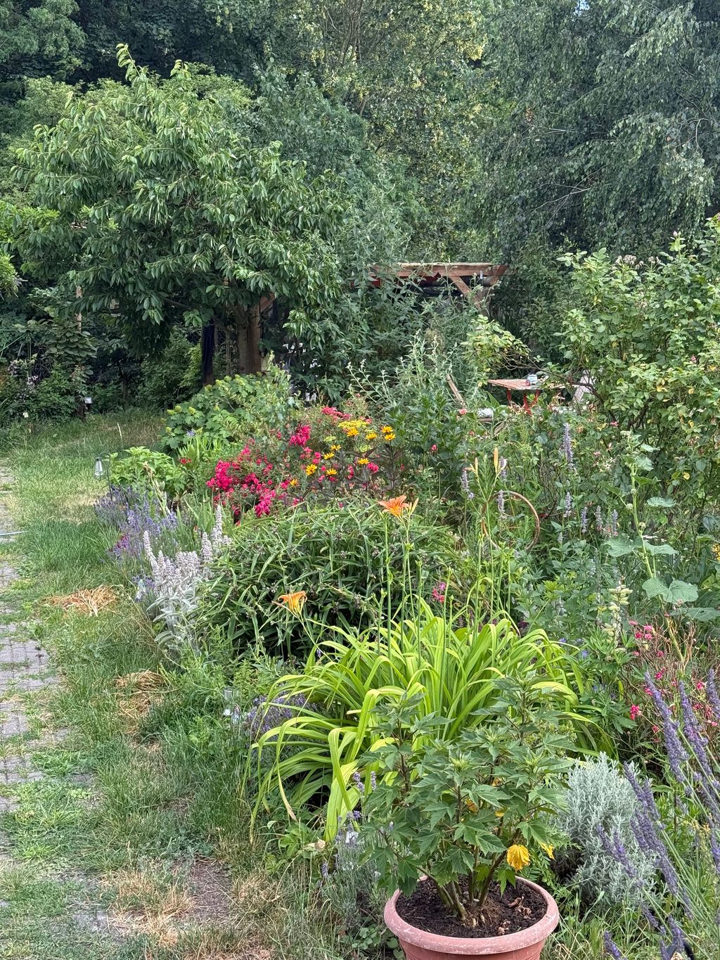 Biete einen Platz am Waldrand in schönem Garten