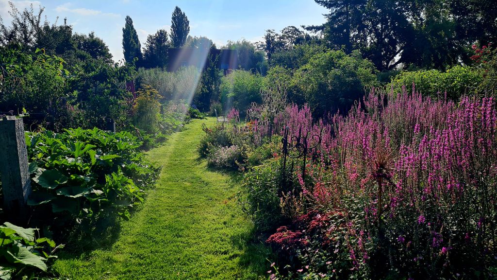 Großer Stellplatz im Paradiesgarten Nähe Zarrentin