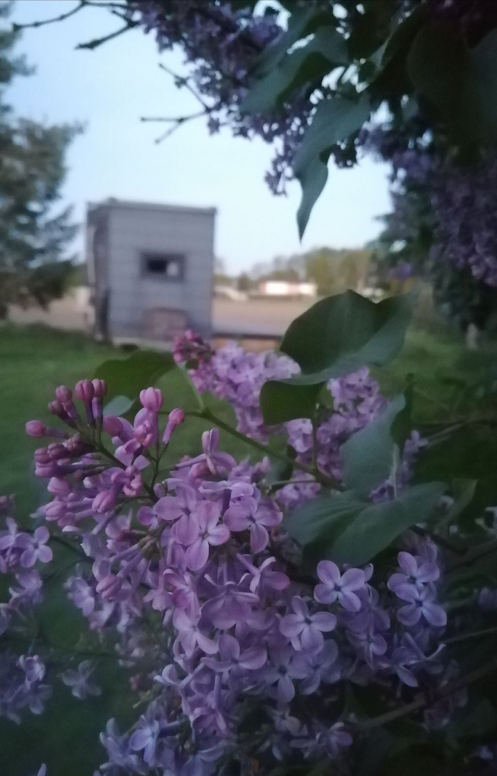 Vacaciones en el campo en una casita en la región de los lagos