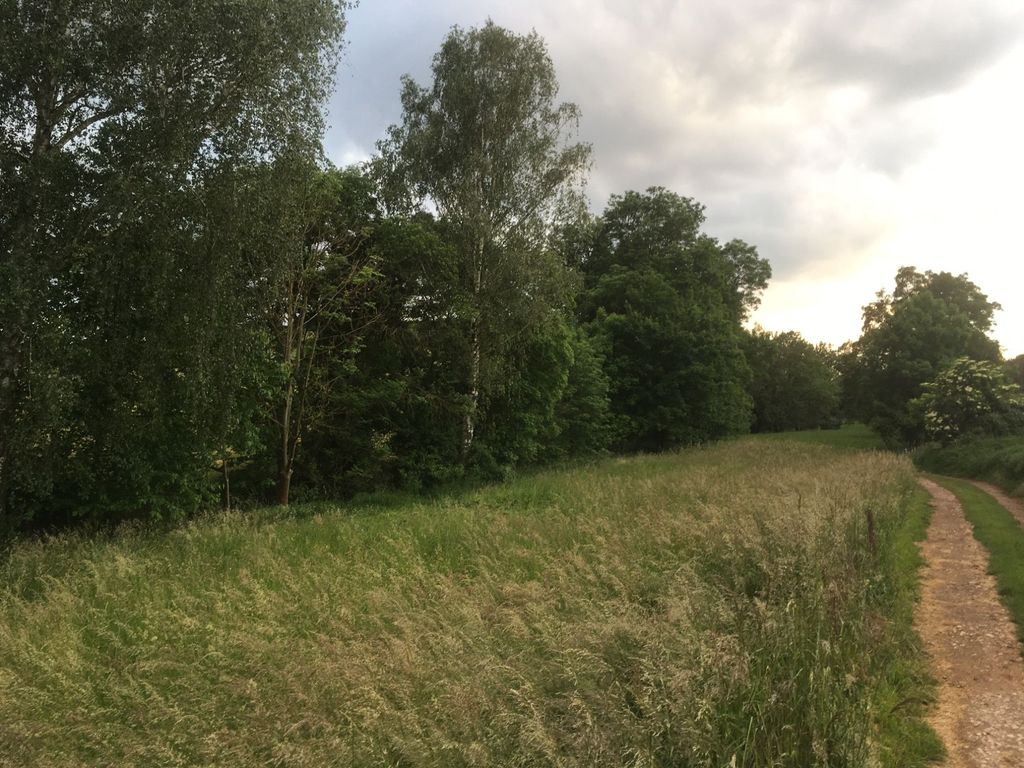 El Olmo - terreno de juego en un prado natural