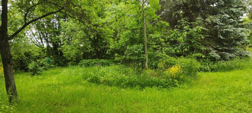 A relaxing meadow garden for nature loving