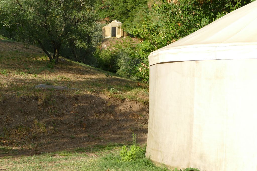 Yurt surrounded by nature