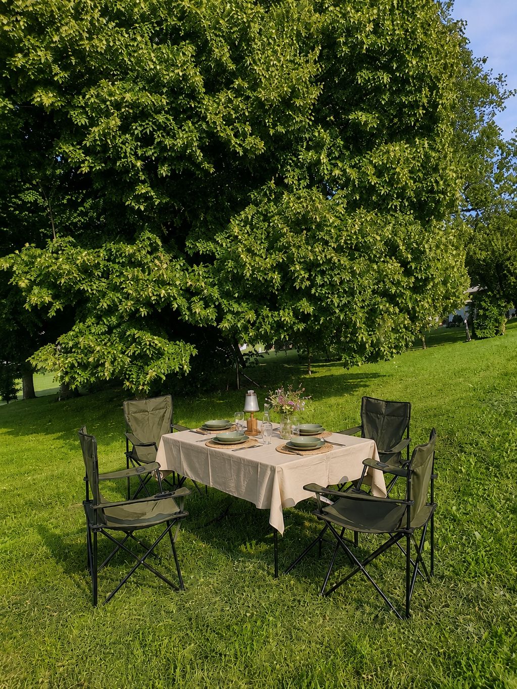 Un dîner convivial en plein air