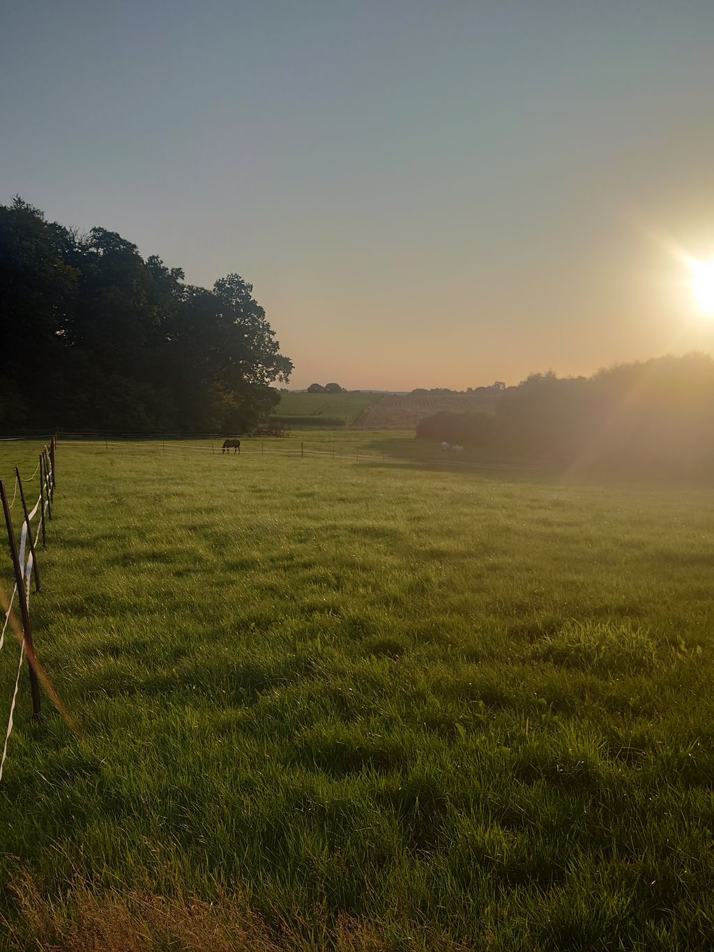 Vacaciones en la Suiza de Holstein en un lugar aislado
