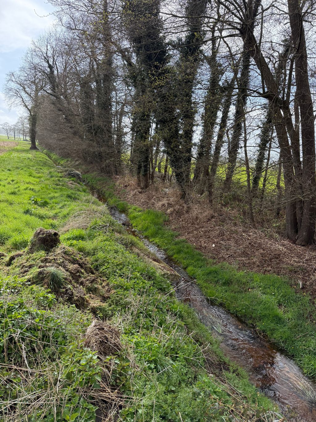 Alpaka Hideaway – Aire de camping sauvage sur le chemin de Compostelle