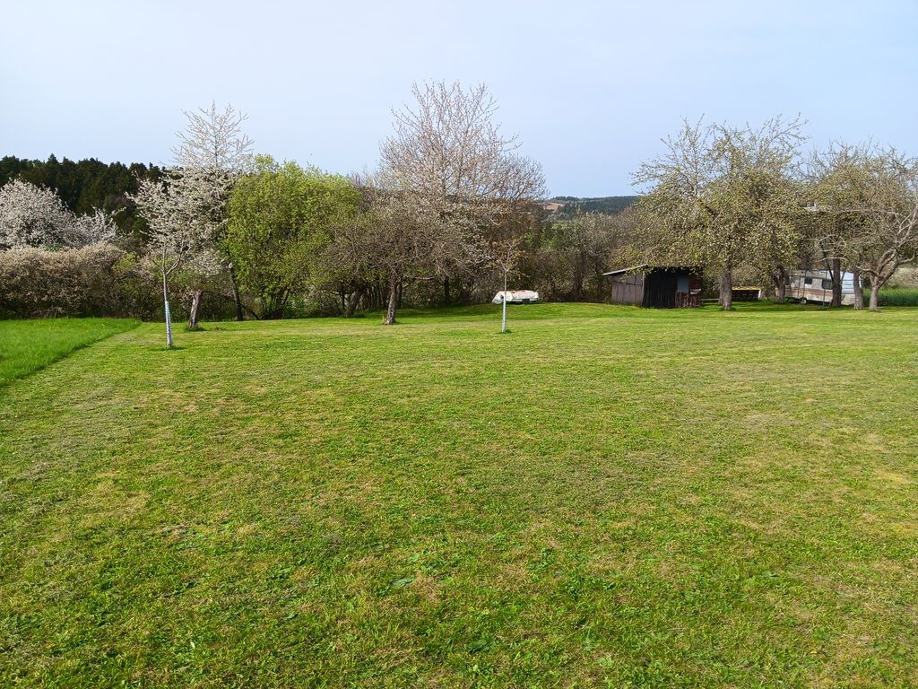Quiet tree meadow campsite for campers