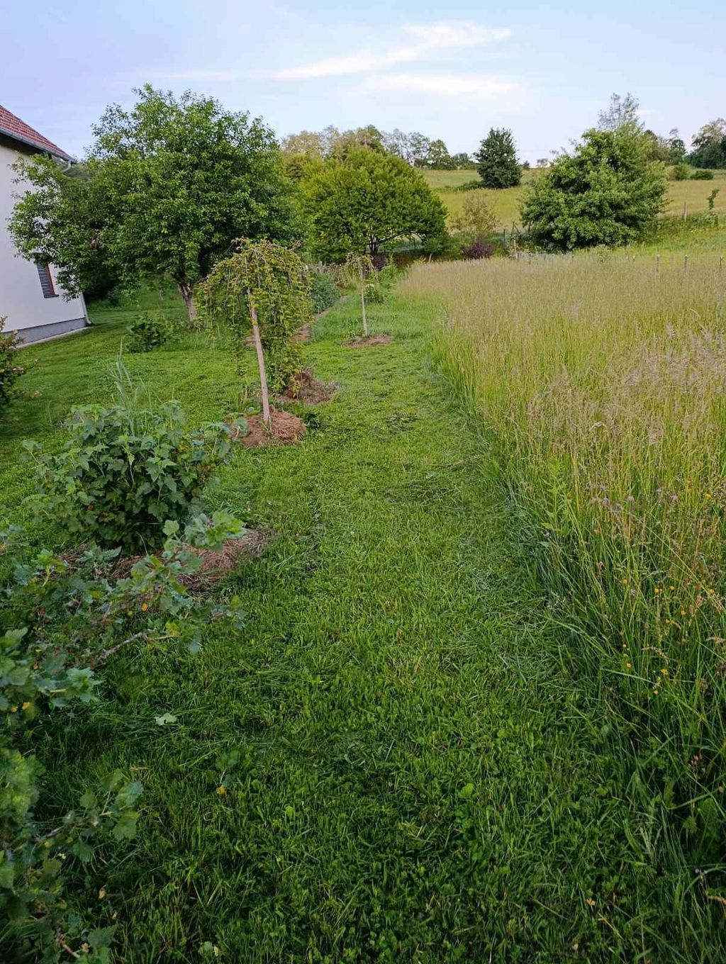Escale en Serbie : un endroit sûr et paisible