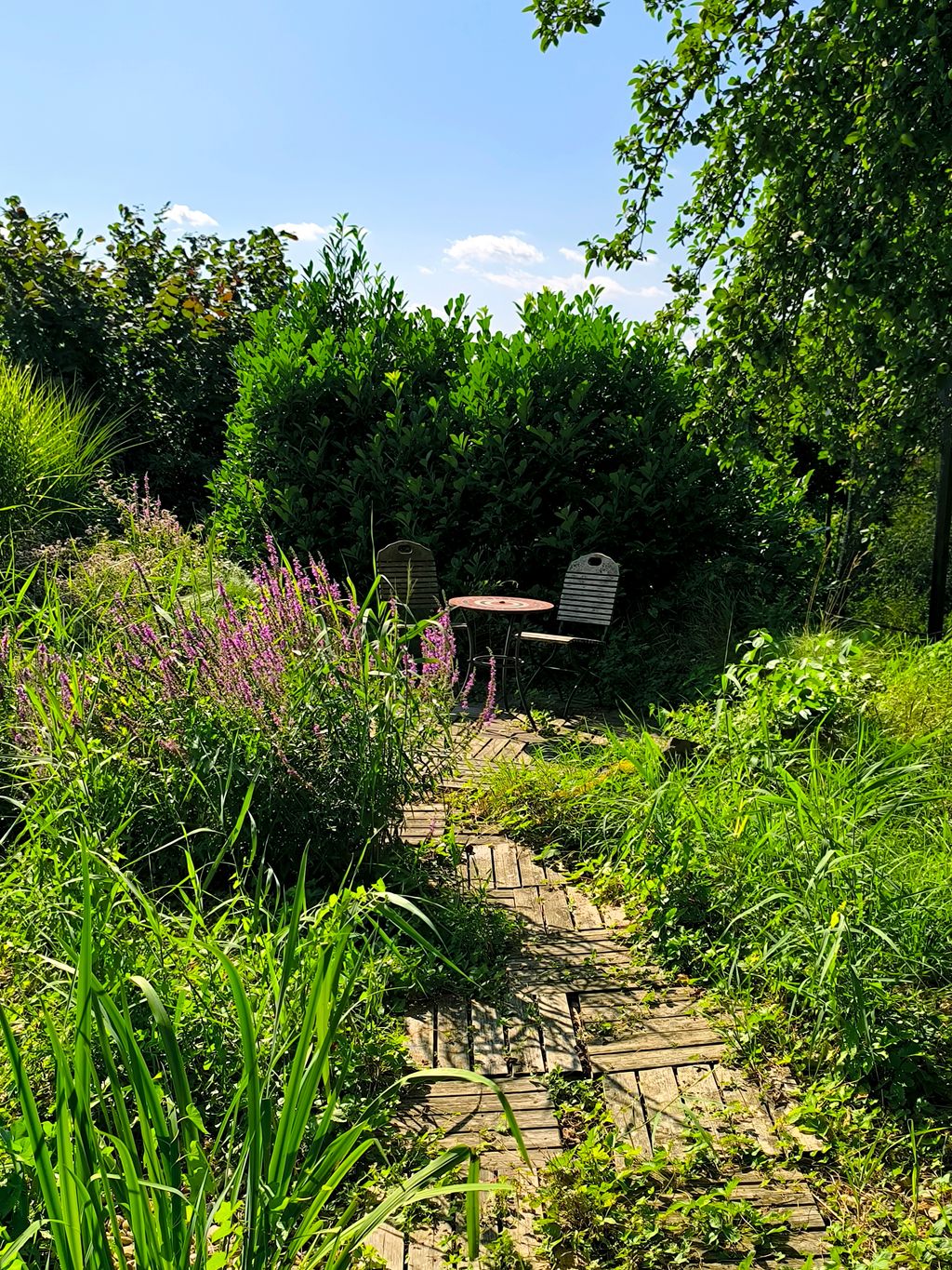 Piazzola con vista lontana su Cerchov (Repubblica Ceca)