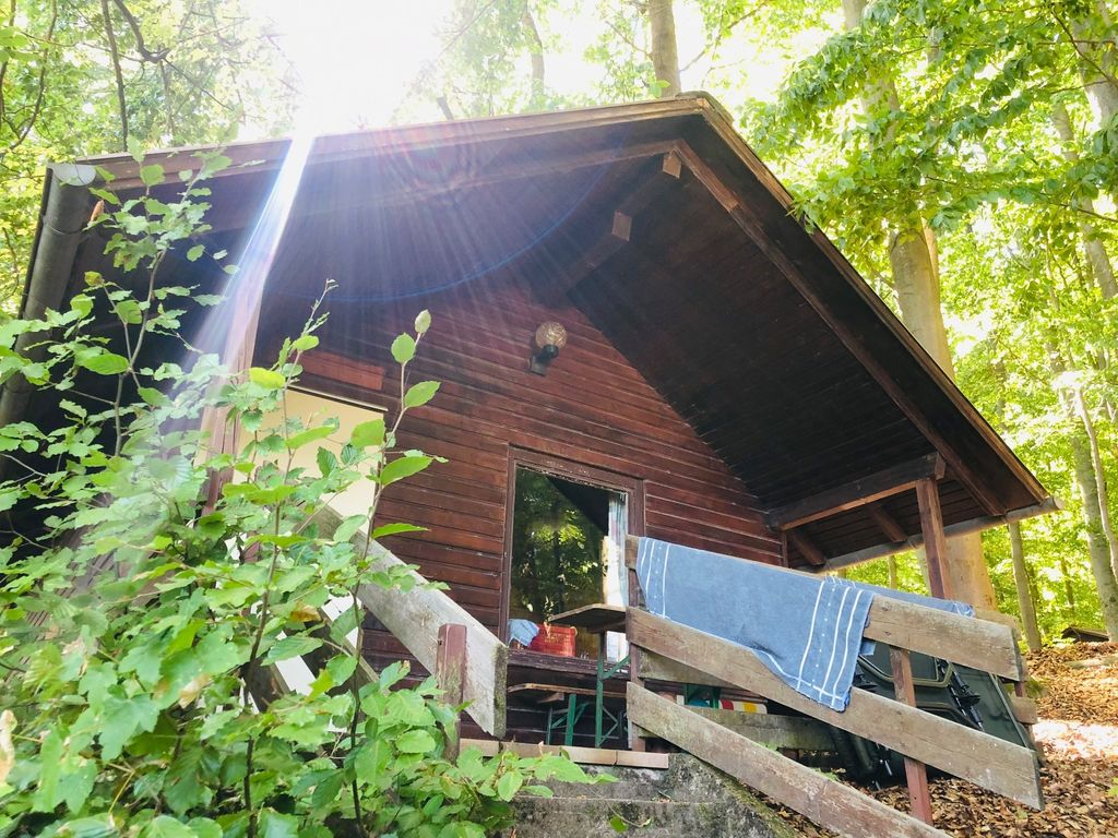 Uriges Blockhaus unter Buchen in Südniedersachsen