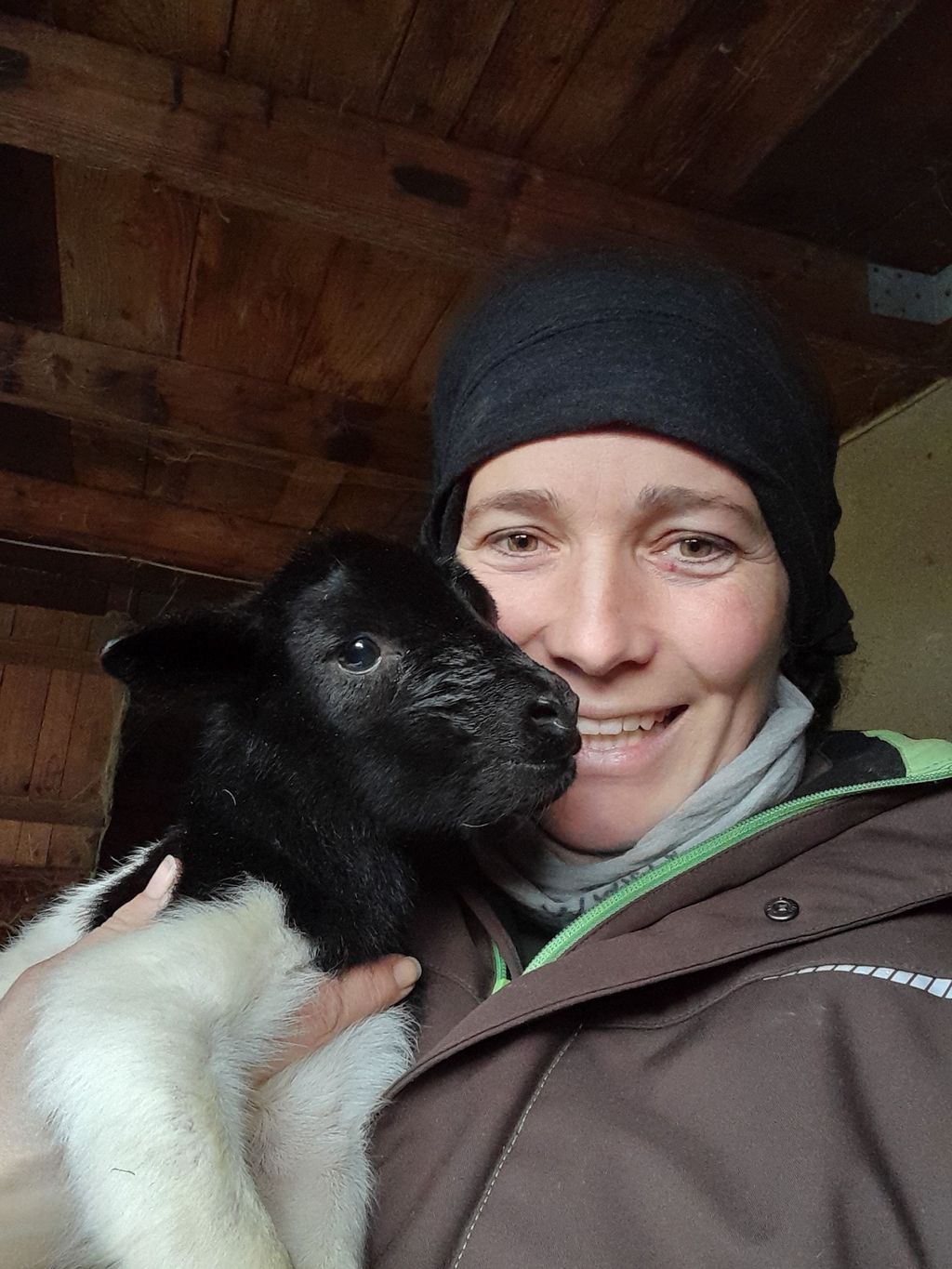 Fattoria degli animali nel Parco Naturale Schwalm-Nette