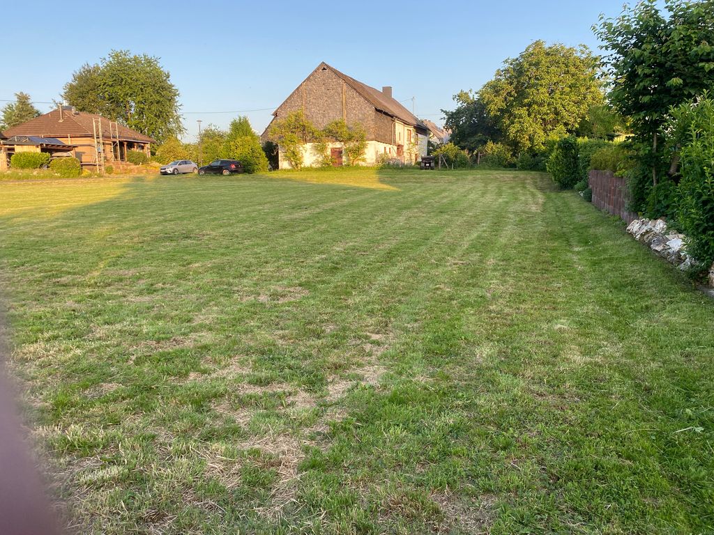 Meadow surrounded by forests in the northern Hunsrück