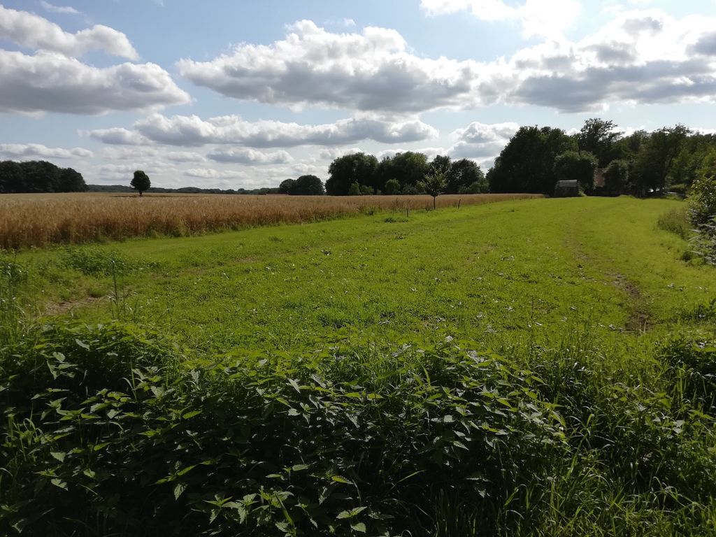 Prairie verte au Wiehengebirge