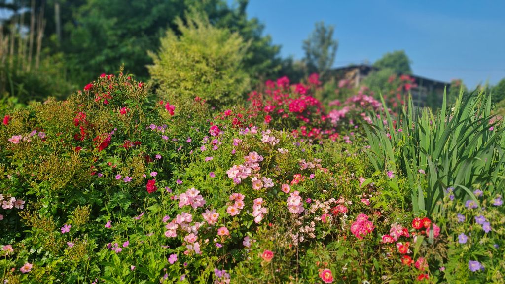 Stellplatz im Paradiesgarten Nöhe Zarrentin 