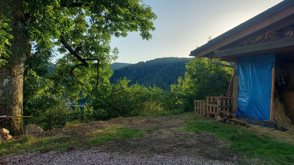 La Forêt-Noire à l'état pur : situation isolée avec une vue magnifique