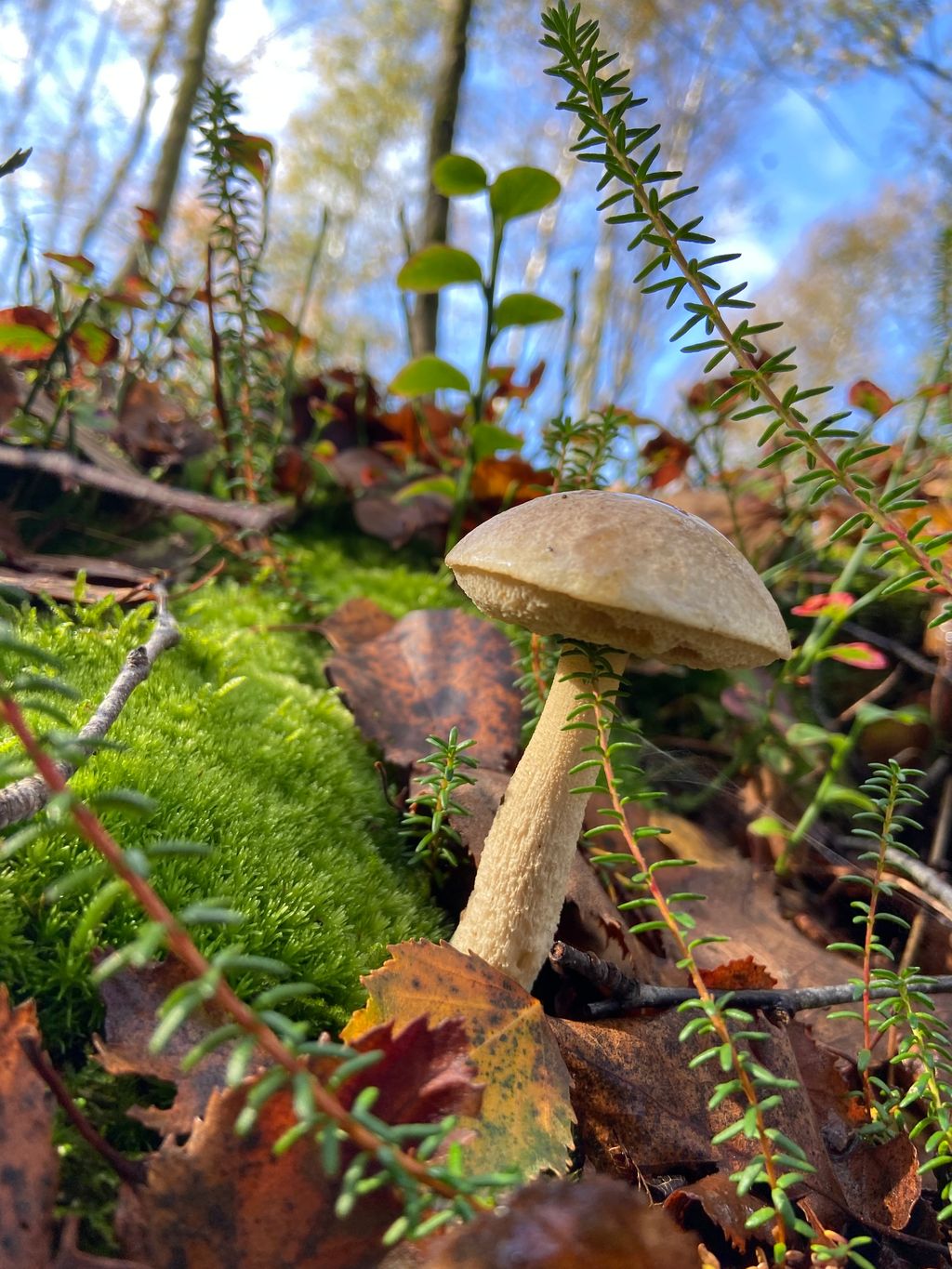 Geheimtipp - Campen in der Nähe der Ostsee