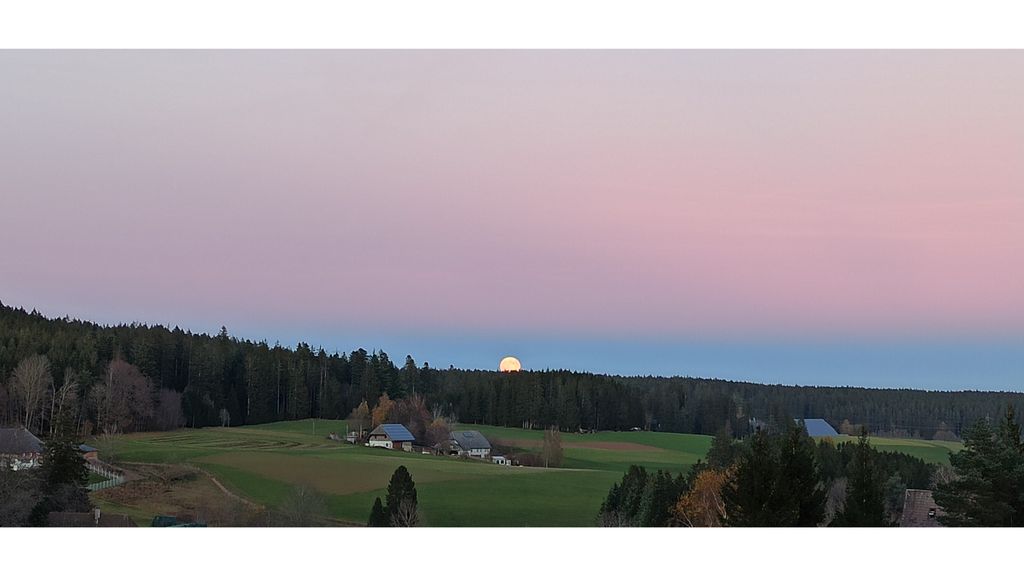 Accommodation in the Black Forest between forest & meadow