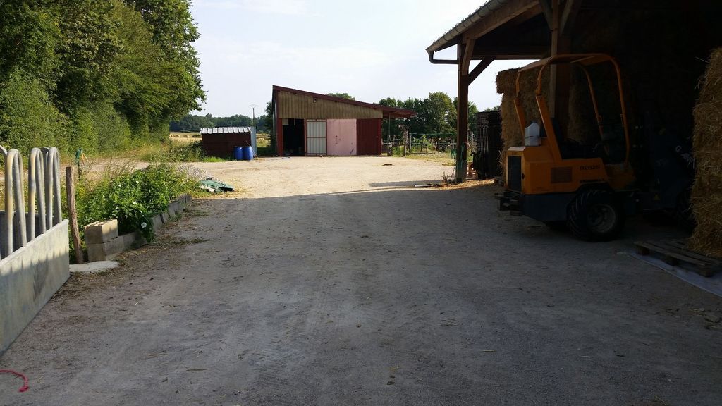 Caravan site with horses in the background