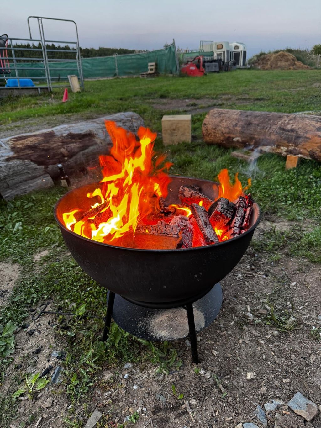 Urlaub bei Freunden auf dem Pferdehof 