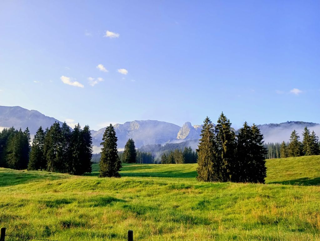 Camping in the Allgäu - mountains, lakes & castles