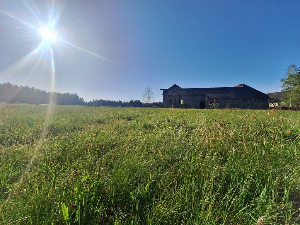 Naturcamping in der Nähe der Tschechischen Republik