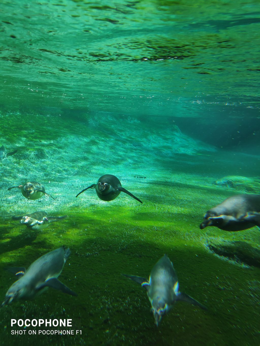 Rostocker Zoo