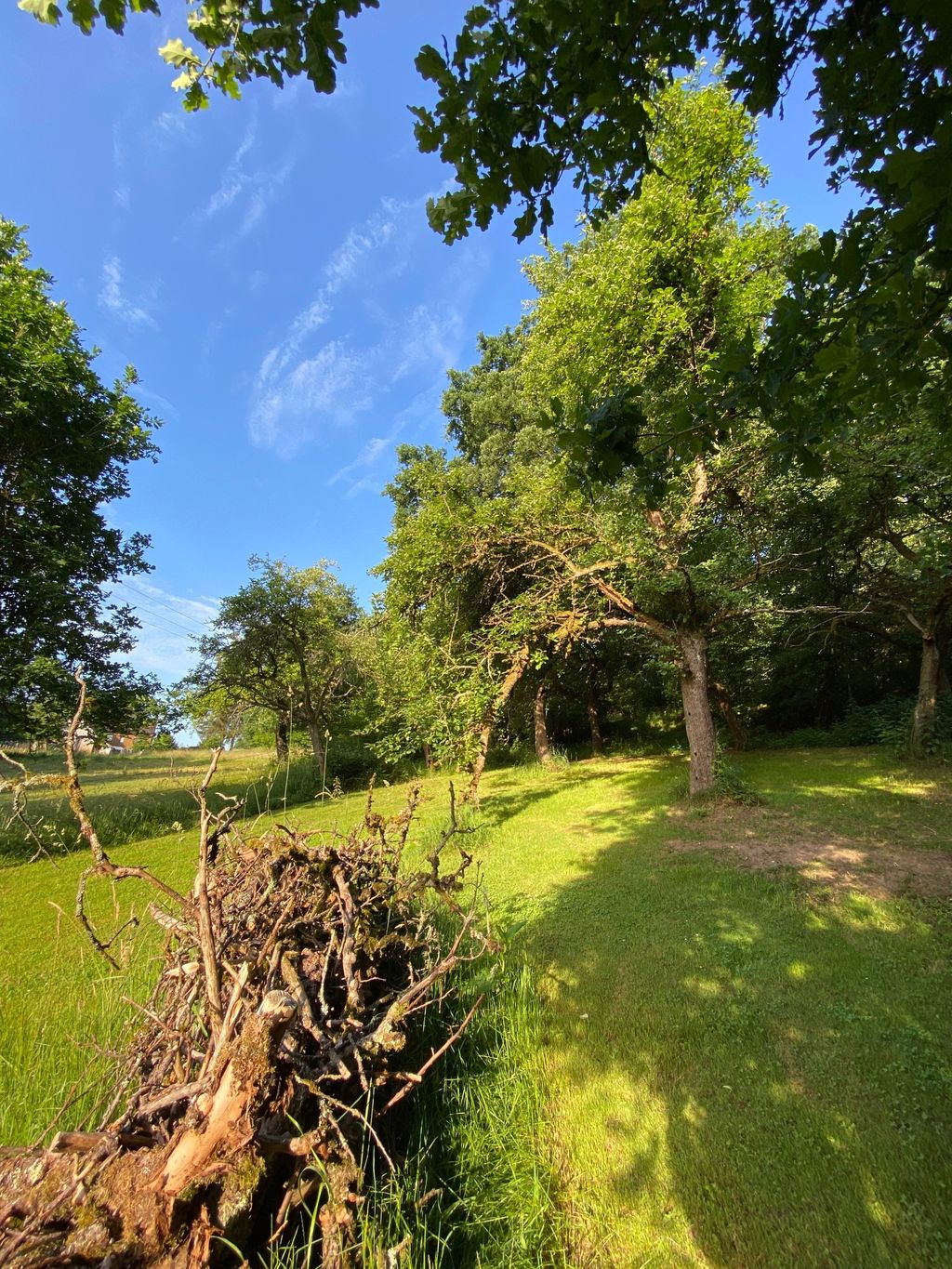 Better Place in the Westerwald - wonderful peace and quiet