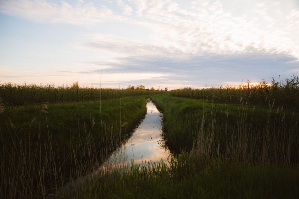Posizione idilliaca nell'Altes Land sulla spiaggia dell'Elba