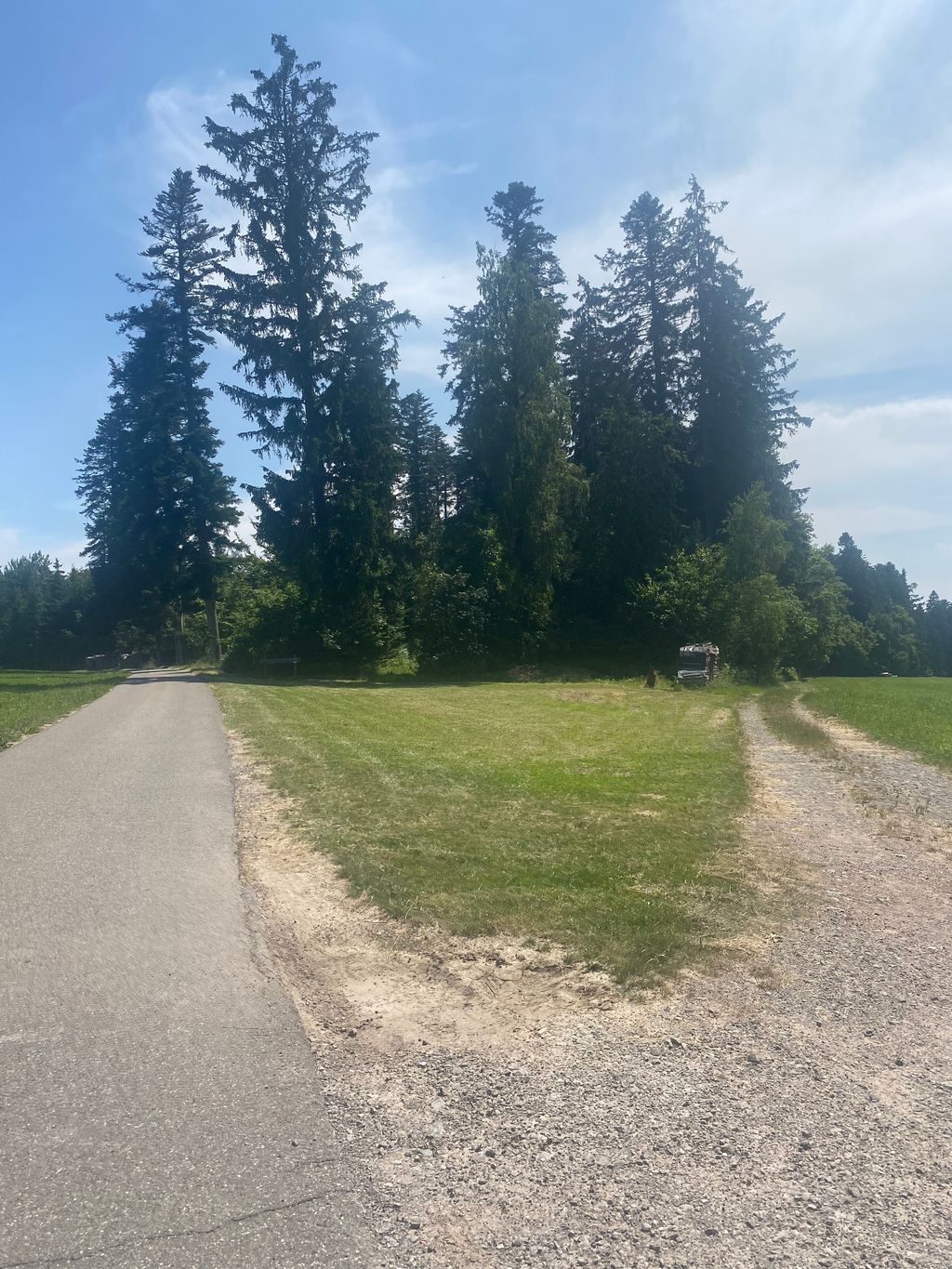 Waldrand-Glück: Natur & Ruhe in Gaugenwald