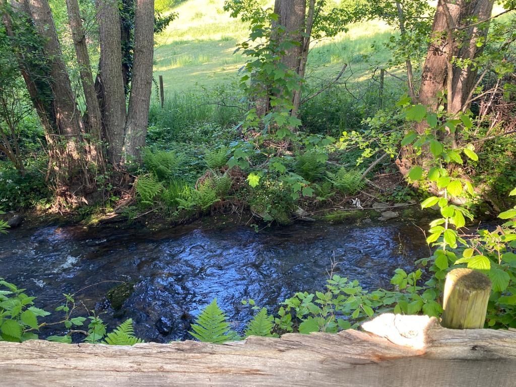Vacances dans la plus belle vallée latérale de la Moyenne Moselle