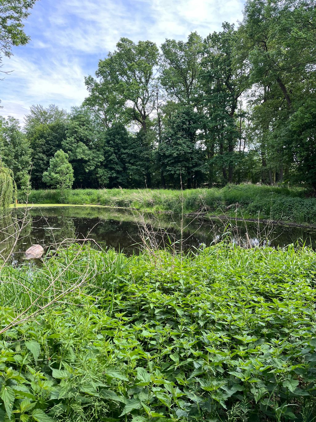 Beautiful spot at the old watermill