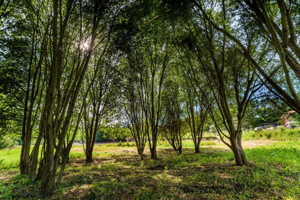 Mikrocamping in der Natur bei Veade Rive- Escape Portugal