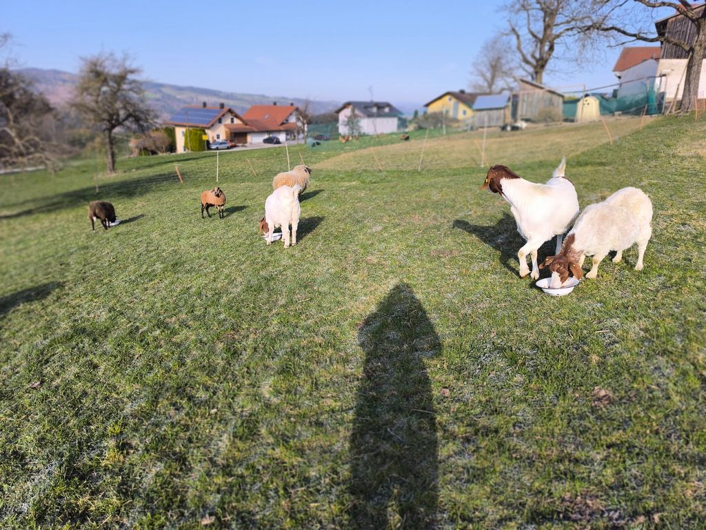Naturcamp auf der Donauleiten Höhe mit Weitblick