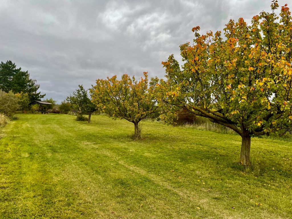 Stellplatz an der Obstplantage: Nahe Bindersee