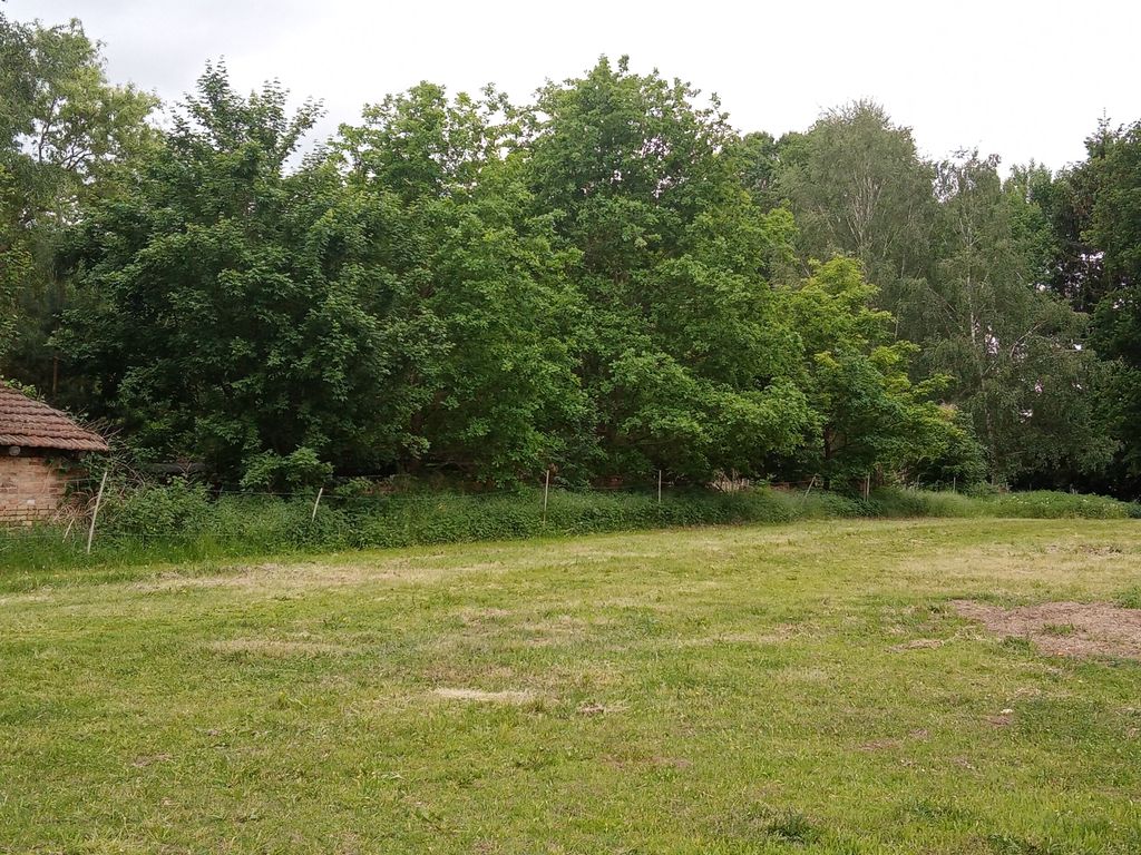 Randow-Idylle: Wiesen-Camp mit Tieren & Spielplatz
