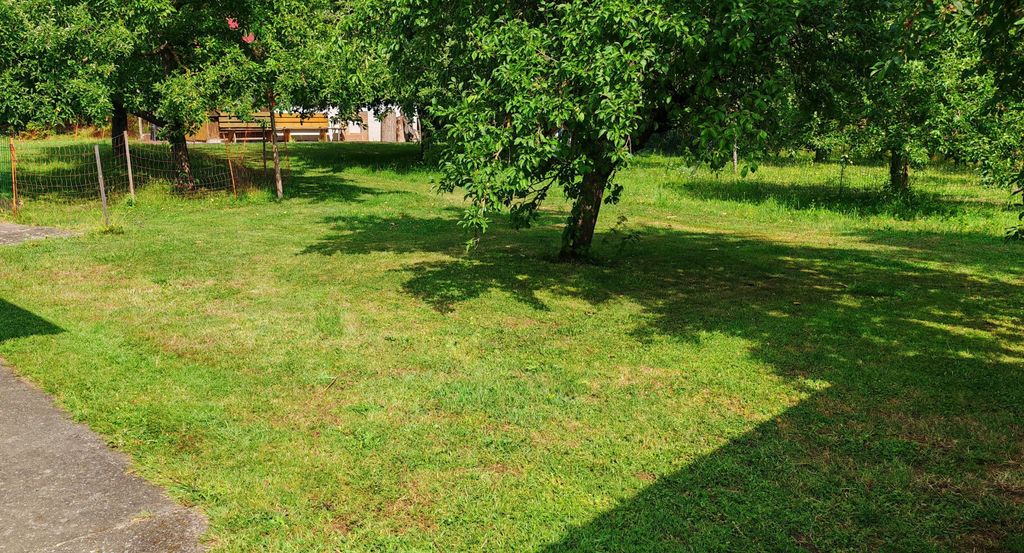 Campeggio in fattoria con animali e fiume