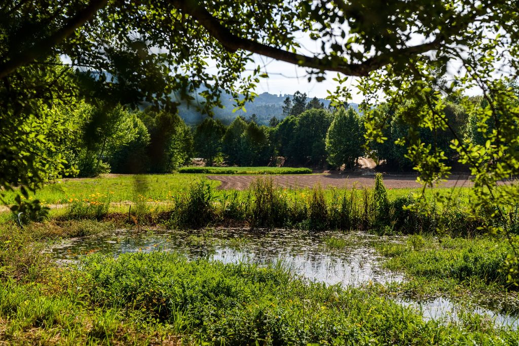 Mikrocamping in der Natur bei Veade Rive- Escape Portugal