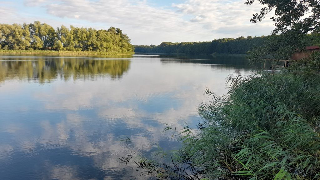kleine Hütte am Kritzower See mit Steg & Natur pur