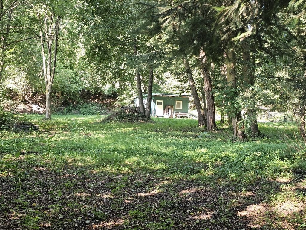 Idyllisches Fleckchen in unserem Wiesengrund