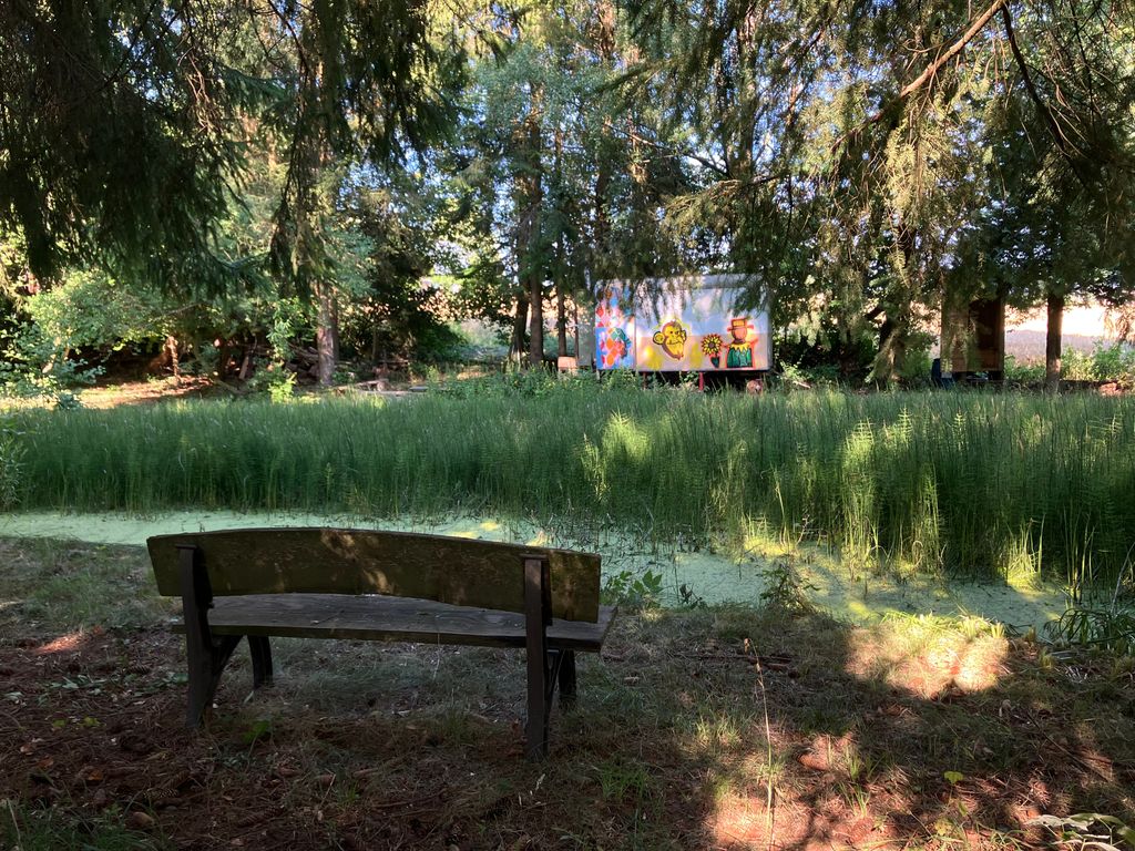 Sitzplatz direkt am Naturteich