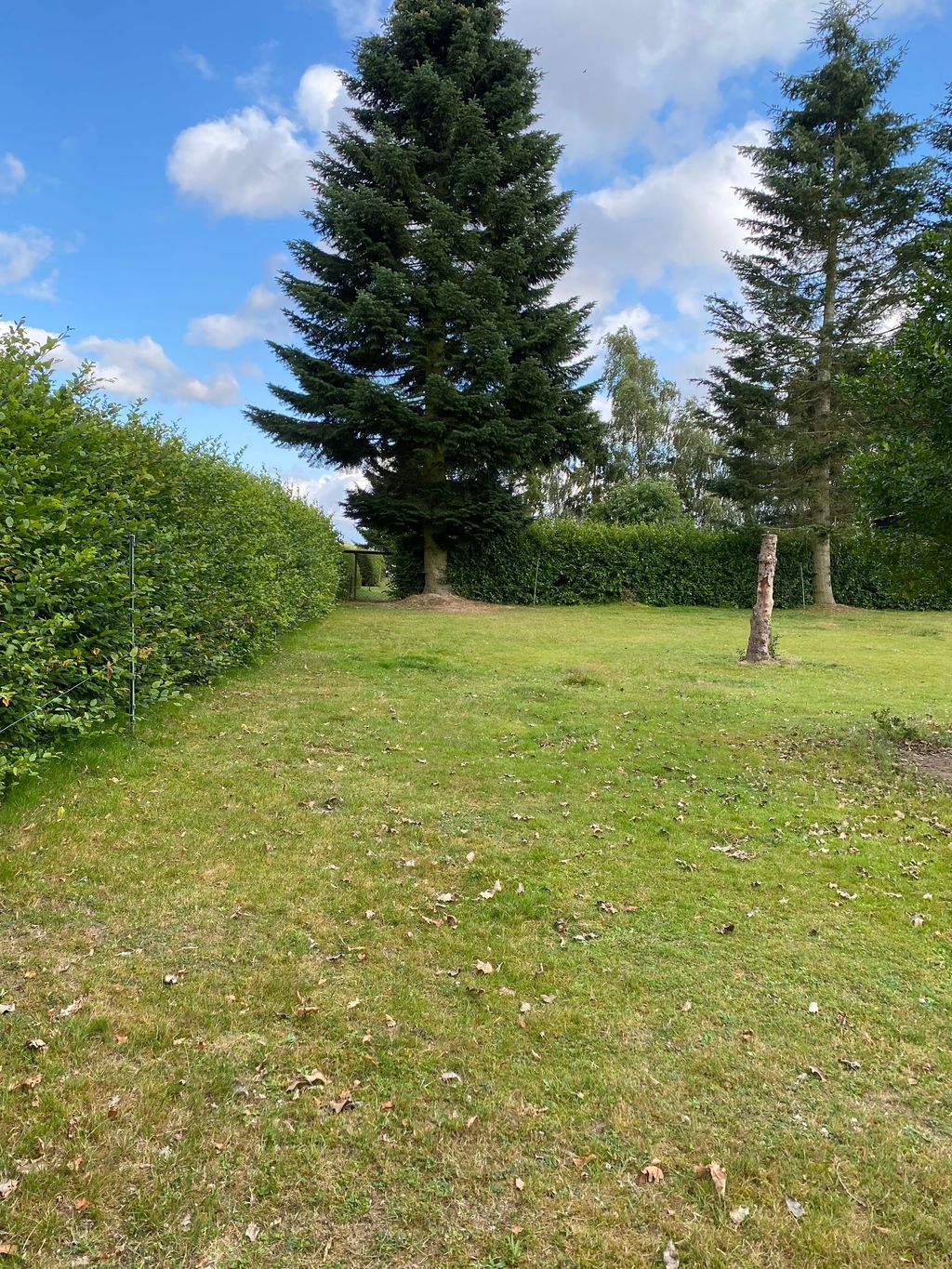 Rundum eingezäunte Wiese im Dorf der Pferde