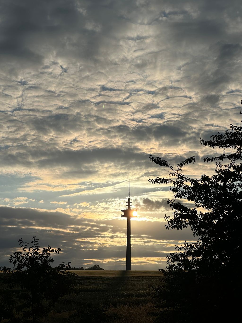 Unique view - idyllic & close to Miltenberg