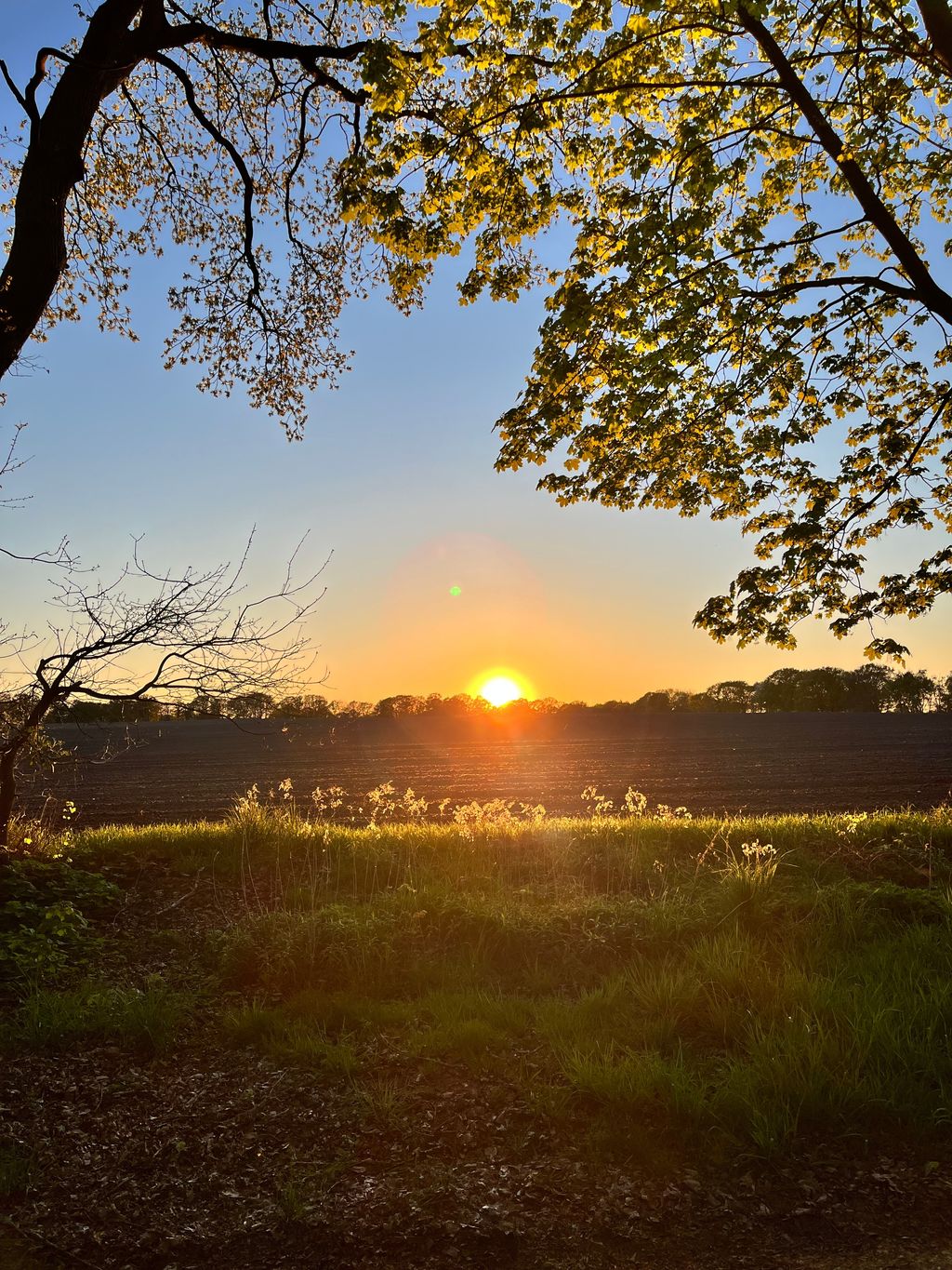 Campen nahe Teufelsmoor & Worpswede
