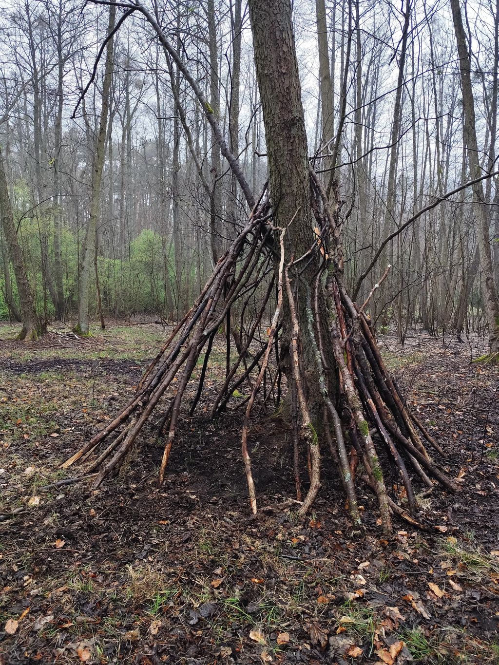 Un idilliaco pernottamento nel bosco nei pressi di Potsdam