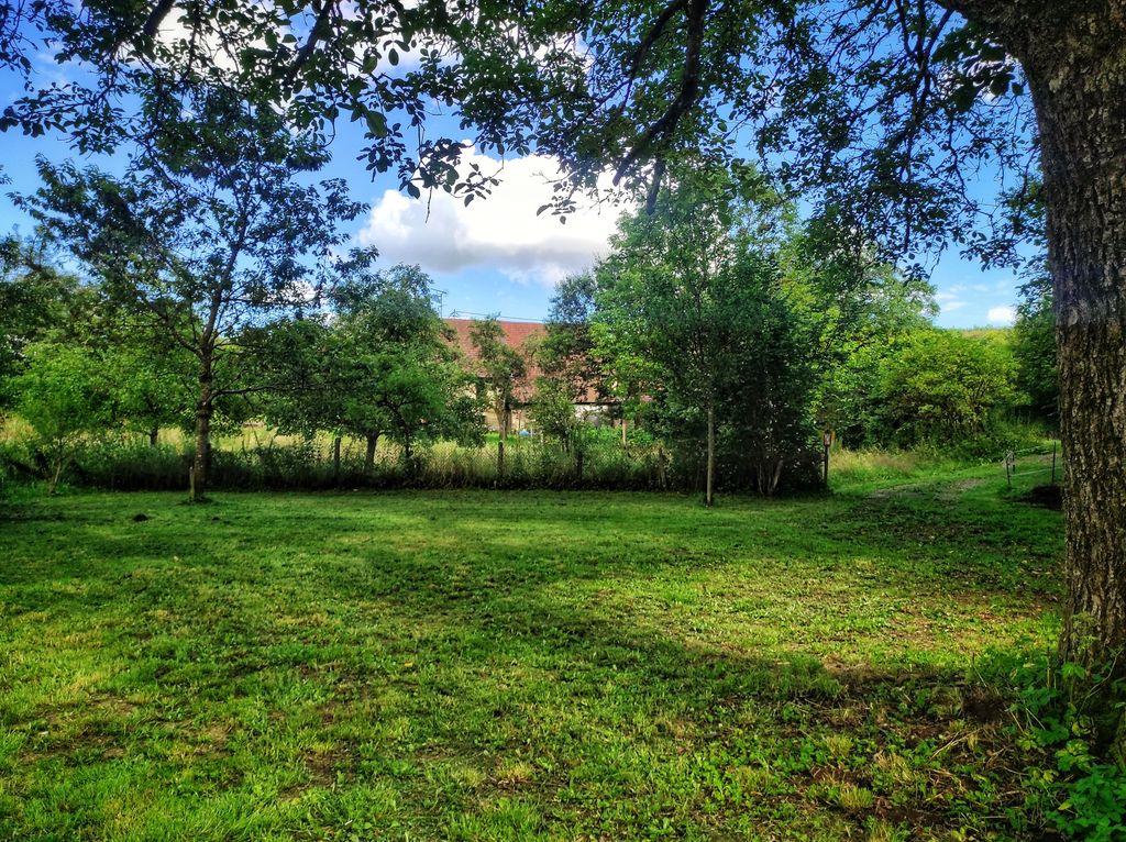 A place in the green under a walnut tree