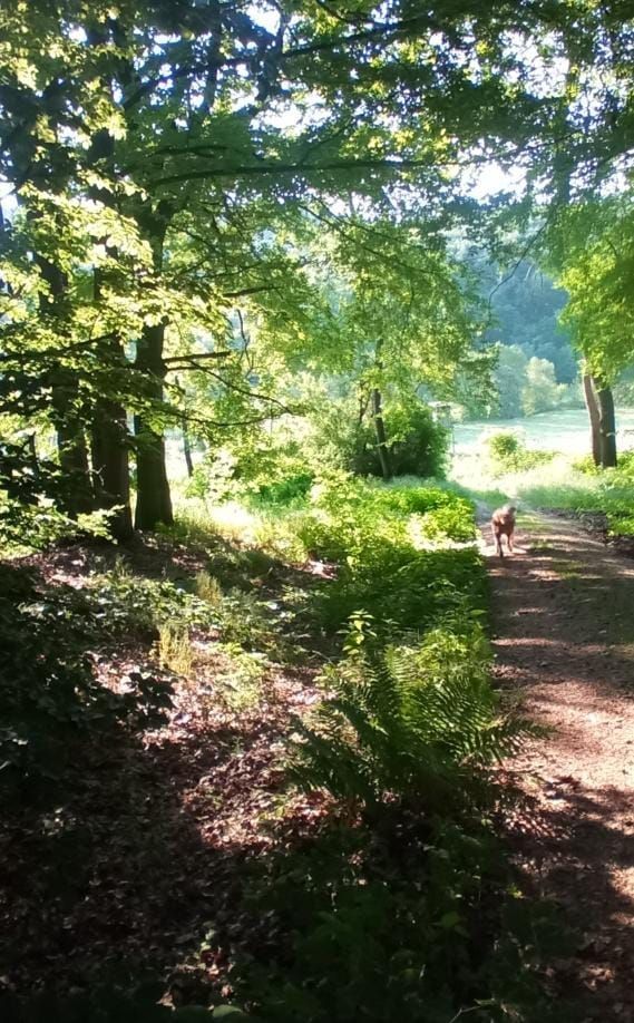 In the valley of the Orpe on the farm